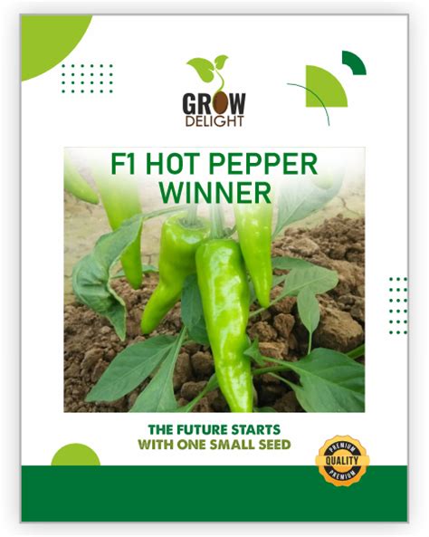 Grow Delight F1 Hot Pepper Winner Agripari