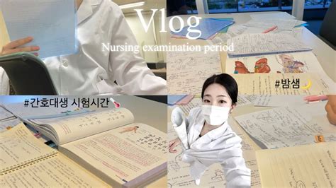 Eng 간호대생 극한의 밤샘 시험공부 브이로그🤯 L 공부자극 L Korean Nursing Student Study