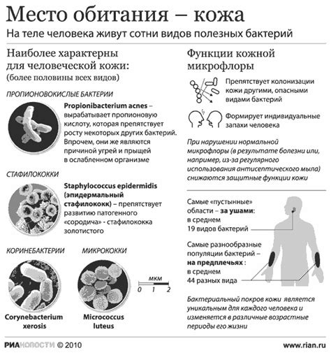 Эксперты рекомендуют соблюдать диету при псориазе - Российская газета