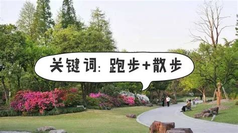 澳大利亞墨爾本公園攻略：跑步？遛娃？遛狗？這8個公園滿足你！ 每日頭條