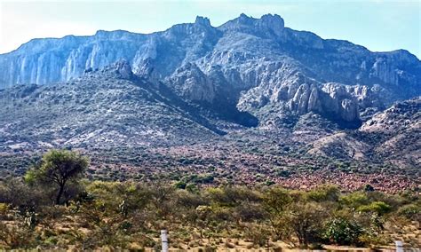 Anuncia Amlo Plan De Reforestaci N En Sierra De San Miguelito A Trav S