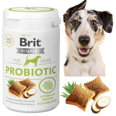 Brit Probiotic Witaminy Dla Psa Na Jelita G Erli Pl