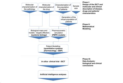 In Silico Clinical Trial Protocol Overview The Protocol Is Divided