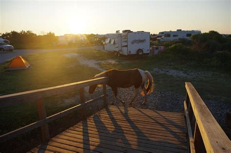 Assateague State Park Camping Hotel Berlin Md Prezzi 2022 E Recensioni