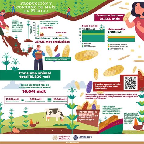 Producción y consumo de maíz en México Conahcyt