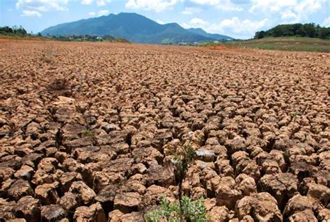 La Producción Agrícola Ha Sido Afectada En Un 12 Por La Sequía