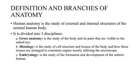 human anatomypptx