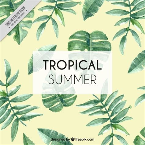 Tropical Hintergrund Mit Aquarell Bl Tter Kostenlose Vektor