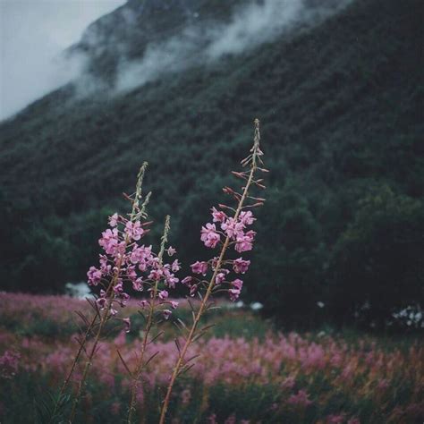 Pin by Полина on Красивые места | Nature photography, Beautiful ...