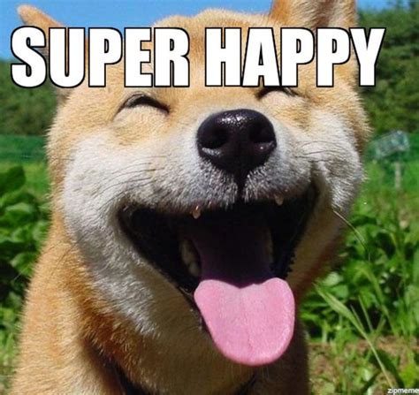 85 Happy Memes To Brighten Your Day And Make You Smile