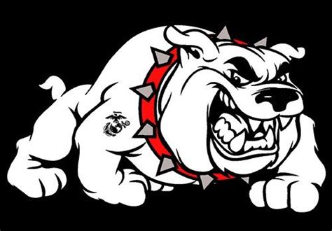 Pin By William Holdren On Usmc Bulldog Clipart Bulldog Drawing