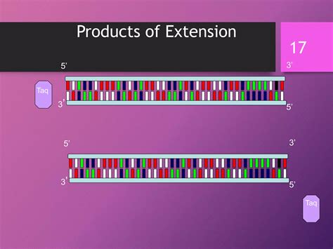 Techniques used in molecular biology | PPT