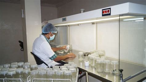 Tissue Culture Lab Pds