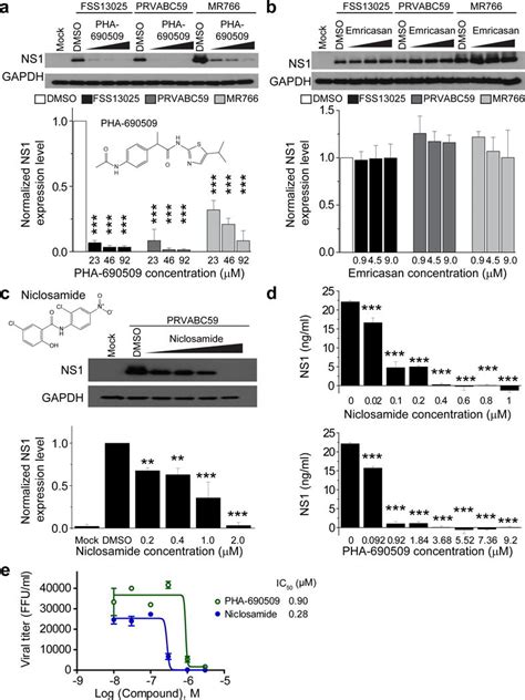 Identification Of Small Molecule Inhibitors Of Zika Virus Infection And