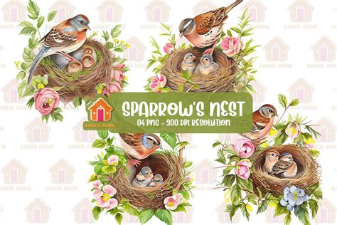 Sparrow S Nest Watercolor Clipart Graphic By Kookie House Creative