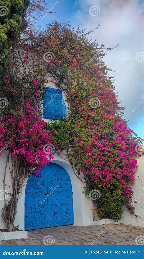 The Village Of Sidi Bou Said Carthage Tunisia Stock Photo Image Of