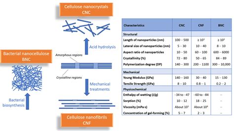 Preparation Scheme And Dimensions Of Different Types Of Nanocelluloses