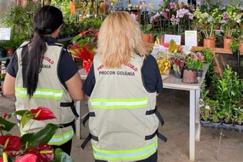 Preços de flores para Dia de Finados variam até 235 em Goiânia