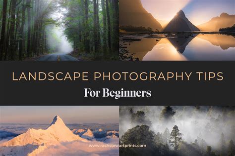 10 Landscape Photography Tips for Beginners