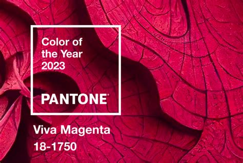 Viva Magenta Is The Pantone Color Of 2023 Collateral