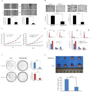 Tmem Inhibits Hcc Cell Migration Invasion Growth And Colony