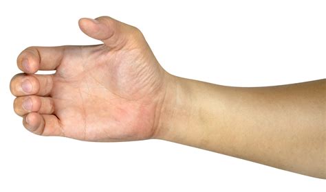 Hand Halten Etwas Isoliert 22786598 PNG