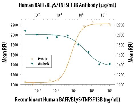 Human Baff Blys Tnfsf B Antibody R D Systems G Unlabeled