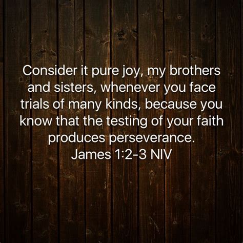 James 12 3 Consider It Pure Joy My Brothers And Sisters Whenever You