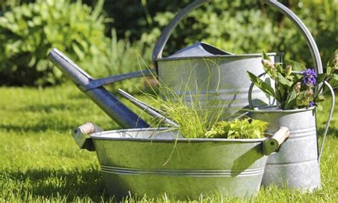 11 usos de las bolsas de té usadas que no esperabas encontrar Jardin