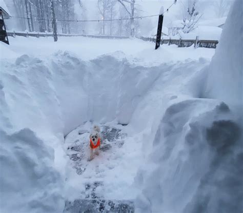 buffalo region continues   bombarded  lake effect snow record