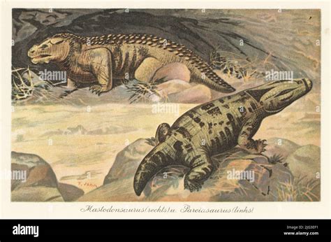 Reconstruction Of A Mastodonsaurus Right Extinct Genus Of Giant