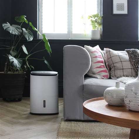 Will A Dehumidifier Dry Out Damp Walls Choose The Right One Ideal Home