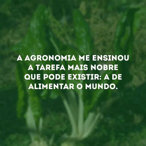 Frases De Agronomia Para Quem Apaixonado Pela Vida Do Campo