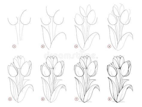 Cría reflejar subasta flores para dibujar a lapiz paso a paso Tiempo de