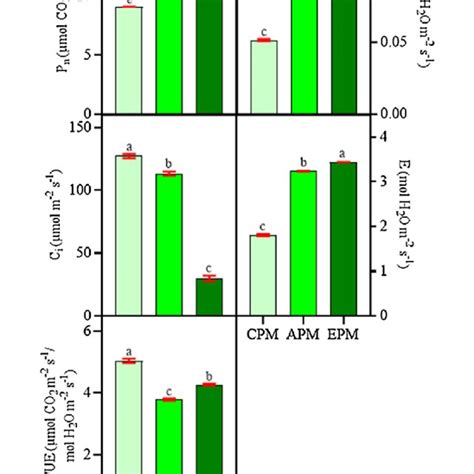 Photosynthetic Parameters P N Photosynthetic Rate G S Stomatal