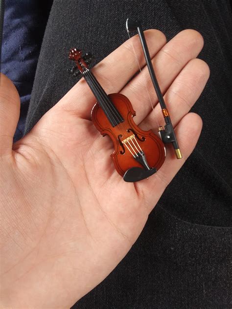 A Small Violin 50 Music 50 Fake Pity Makes Whiney People Shut Up R