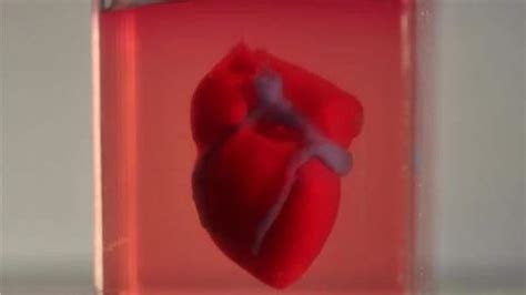 Breakthrough Scientists Printed First Ever 3d Heart Using Actual