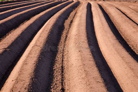 Ploughed Red Clay Soil Agriculture Fields Stock Image Image Of