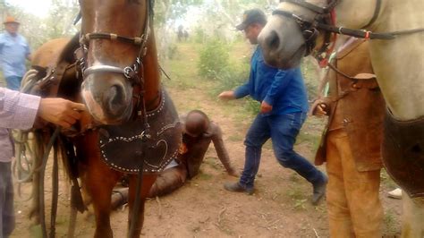 Pega De Boi No Mato Na Fazenda Reserva Jaramataia Al Youtube