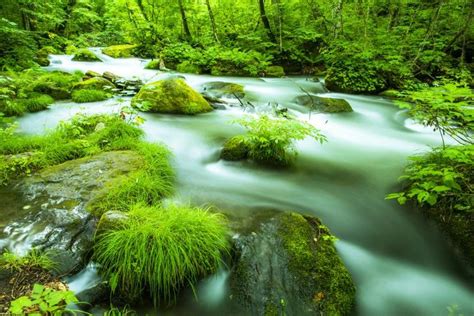 大自然の絶景と温泉でゆったり！東北の国立公園の見所と楽しみ方 Tsunagu Japan