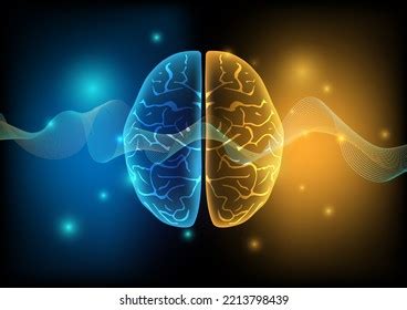 Human Brain Waves Background Images: Browse 5,152 Stock Photos ...