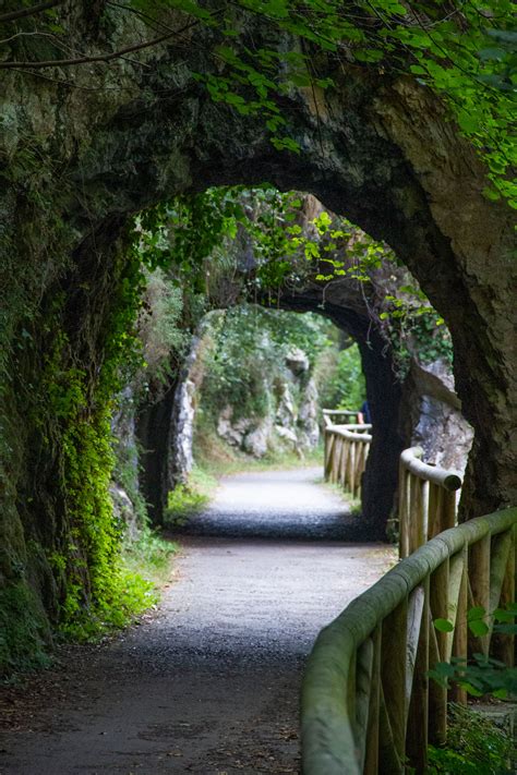 Senda del Oso - Path of the Bear - For 91 Days in Oviedo - Travel Blog ...