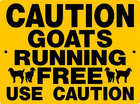 Goat Aluminum Signs H2982acy Goats Goats Funny Goat Care