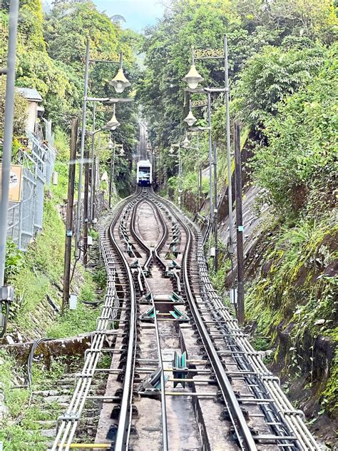 Penang Hills Ancient Rainforest Holds A Vibrant History The Star