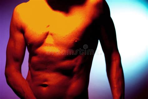 Homem Muscular Do Ajuste Do Nude Despido Foto de Stock Imagem de adulto nanômetro