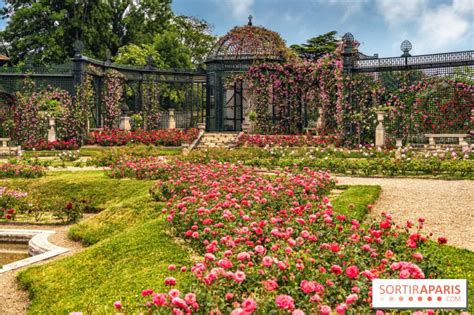 La Roseraie du Val de Marne à l Haÿ les Roses le jardin remarquable et