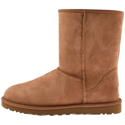 Ugg Classic Short Boots Brown Modesens