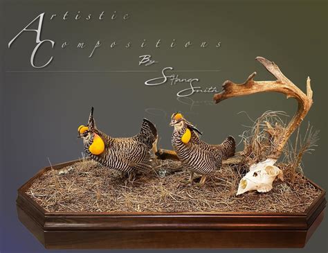 Waterfowl Taxidermy Habitat Scenes Waterfowl Taxidermy Upland Taxidermy Duck