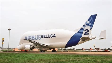 Mighty Airbus Beluga Whale Cargo Plane Lands At Chennai Airport For