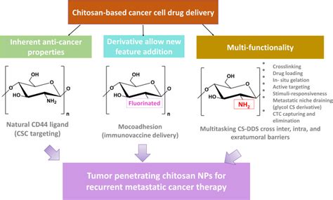 Tumor Microenvironment Penetrating Chitosan Nanoparticles For